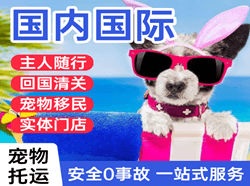 临汾机场空运国际宠物托运 【国
